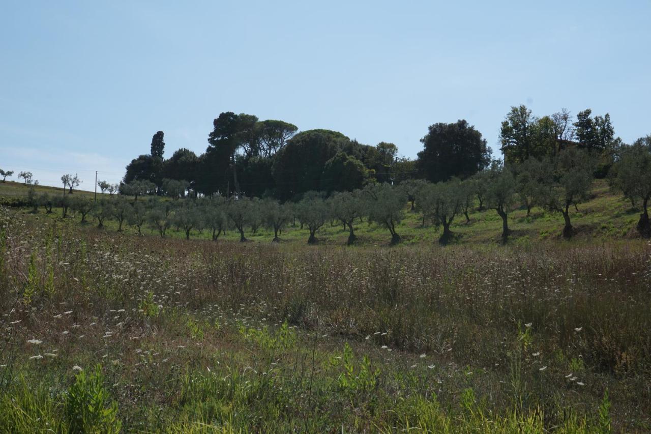 Agriturismo Cheloni Guasticce Dış mekan fotoğraf
